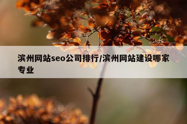 滨州网站seo公司排行/滨州网站建设哪家专业