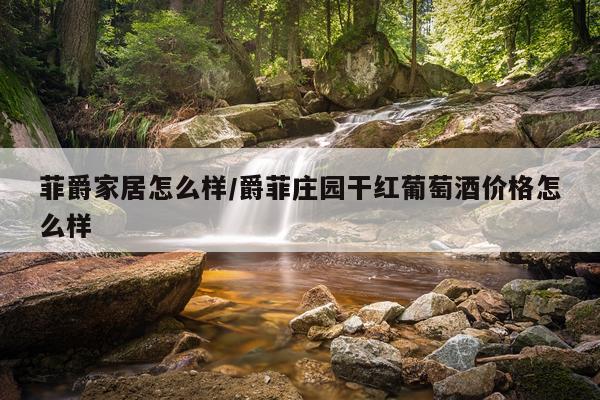 菲爵家居怎么样/爵菲庄园干红葡萄酒价格怎么样