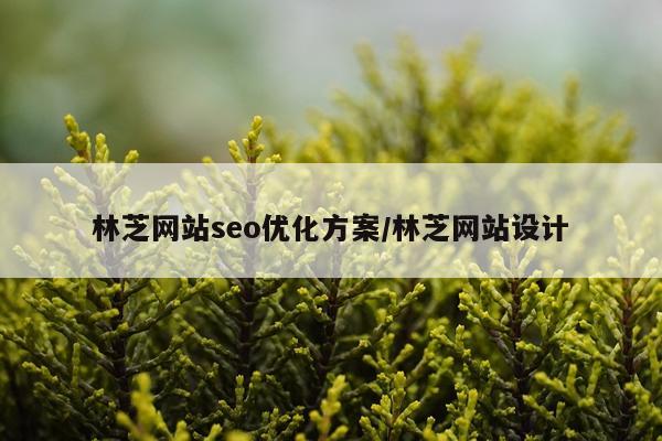 林芝网站seo优化方案/林芝网站设计