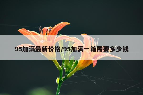 95加满最新价格/95加满一箱需要多少钱
