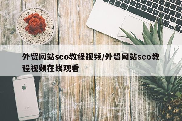 外贸网站seo教程视频/外贸网站seo教程视频在线观看