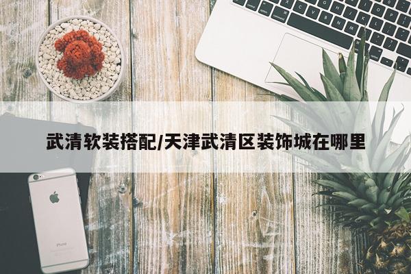 武清软装搭配/天津武清区装饰城在哪里