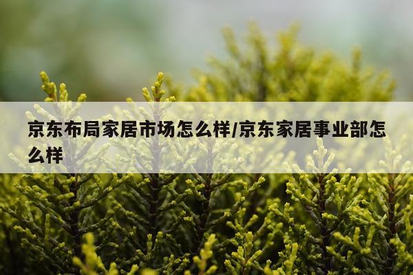 京东布局家居市场怎么样/京东家居事业部怎么样