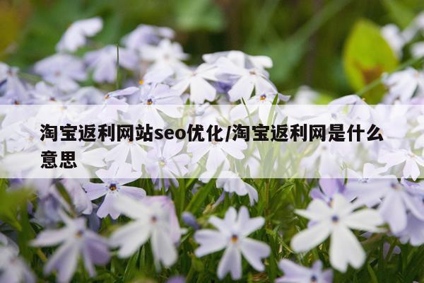 淘宝返利网站seo优化/淘宝返利网是什么意思