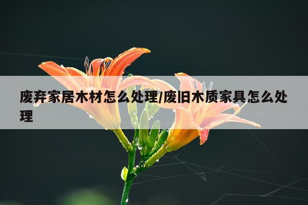 废弃家居木材怎么处理/废旧木质家具怎么处理