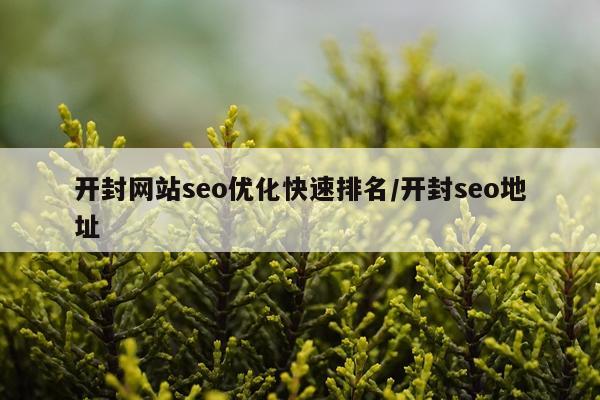 开封网站seo优化快速排名/开封seo地址