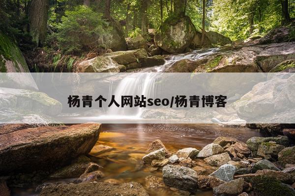 杨青个人网站seo/杨青博客