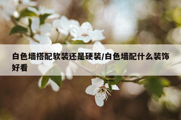 白色墙搭配软装还是硬装/白色墙配什么装饰好看