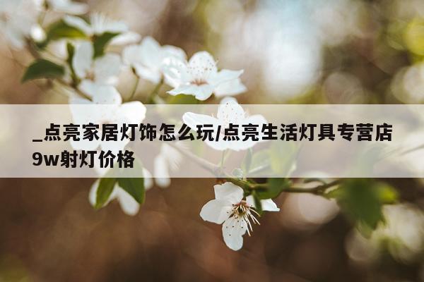 _点亮家居灯饰怎么玩/点亮生活灯具专营店9w射灯价格
