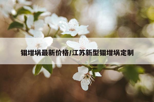 钼坩埚最新价格/江苏新型钼坩埚定制