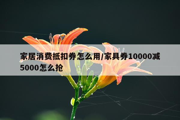 家居消费抵扣券怎么用/家具券10000减5000怎么抢