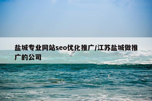盐城专业网站seo优化推广/江苏盐城做推广的公司