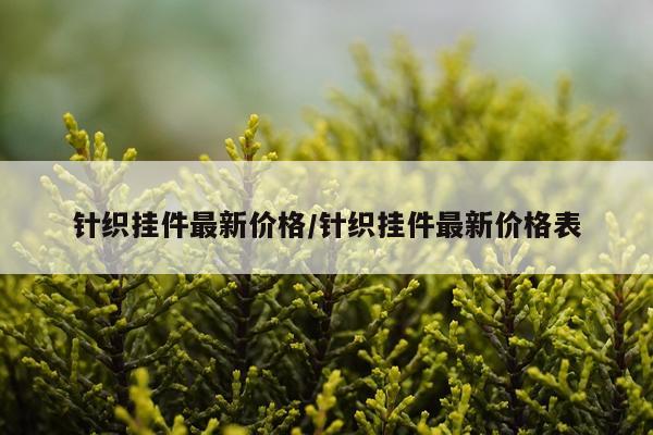 针织挂件最新价格/针织挂件最新价格表