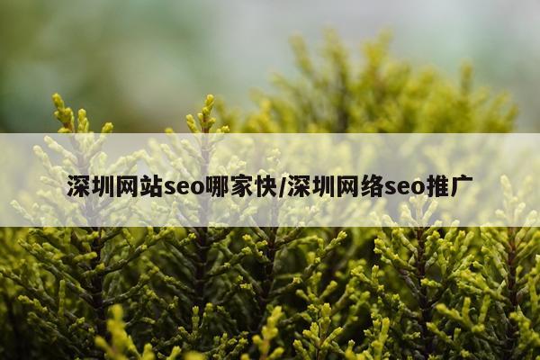 深圳网站seo哪家快/深圳网络seo推广
