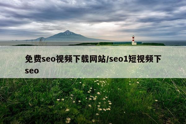 免费seo视频下载网站/seo1短视频下seo