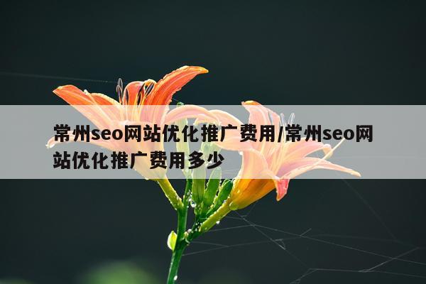 常州seo网站优化推广费用/常州seo网站优化推广费用多少