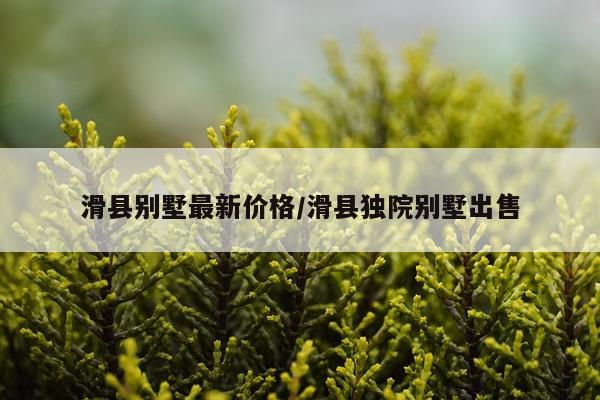 滑县别墅最新价格/滑县独院别墅出售