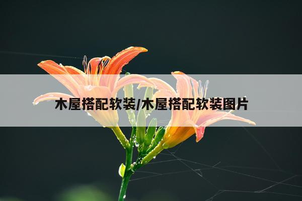 木屋搭配软装/木屋搭配软装图片