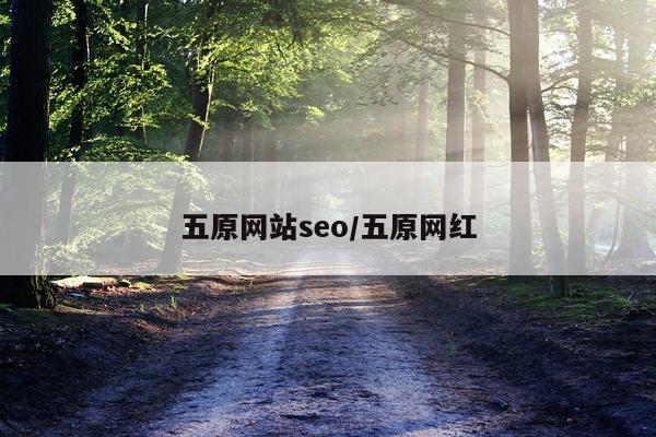 五原网站seo/五原网红