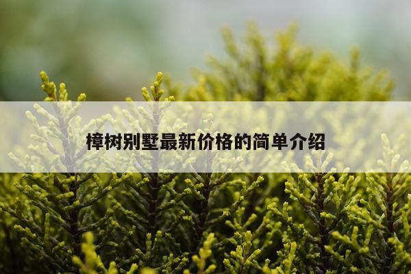樟树别墅最新价格的简单介绍