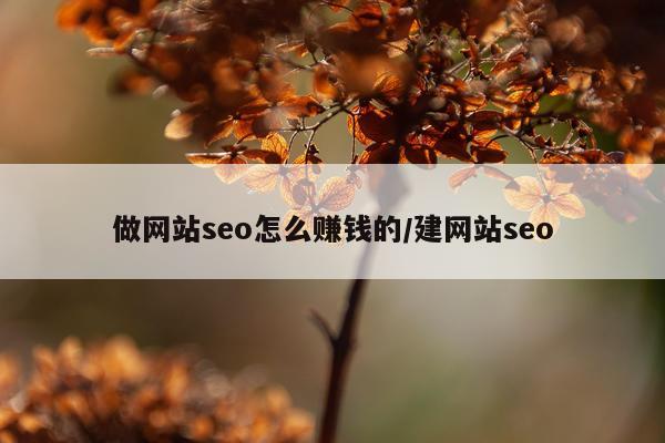 做网站seo怎么赚钱的/建网站seo