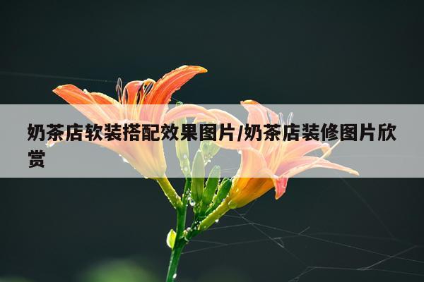奶茶店软装搭配效果图片/奶茶店装修图片欣赏
