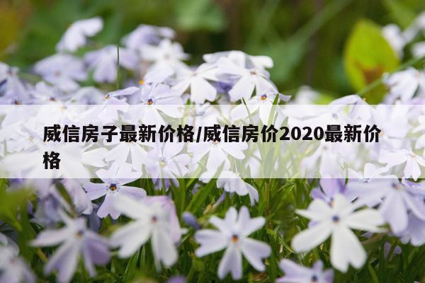 威信房子最新价格/威信房价2020最新价格