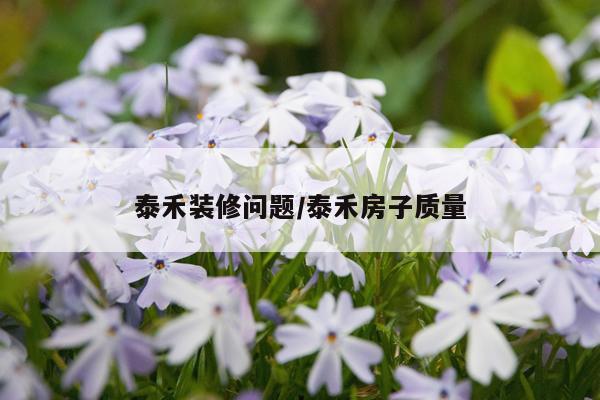 泰禾装修问题/泰禾房子质量