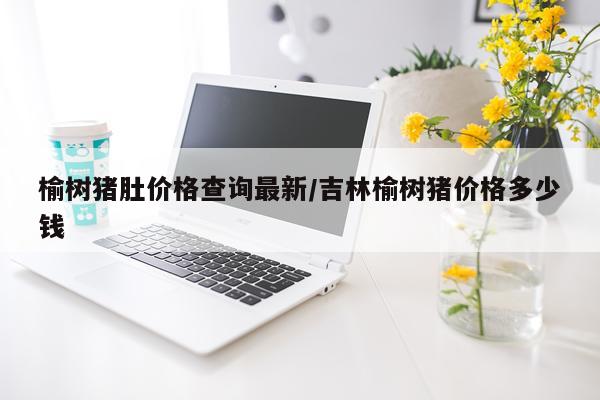 榆树猪肚价格查询最新/吉林榆树猪价格多少钱