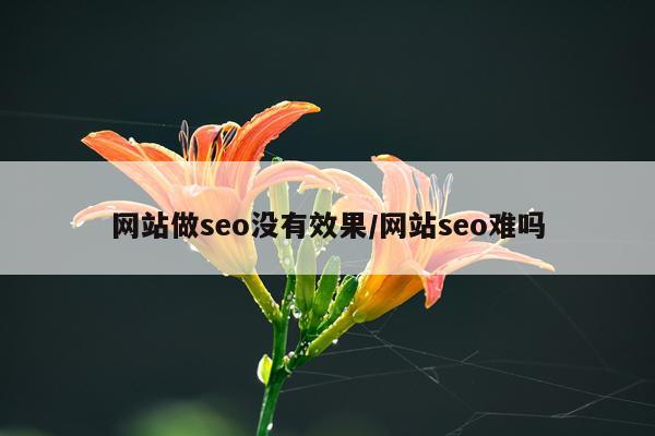 网站做seo没有效果/网站seo难吗