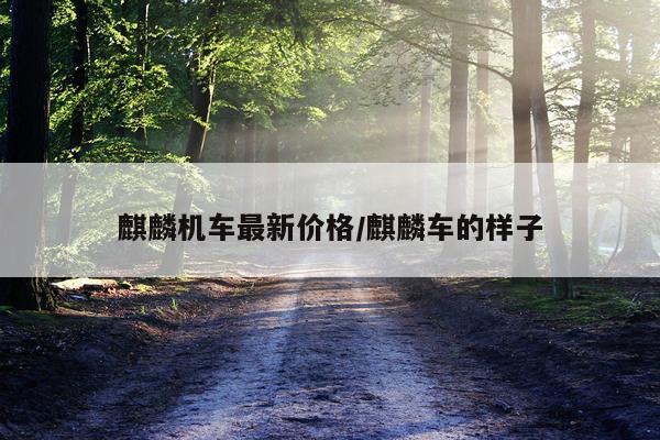 麒麟机车最新价格/麒麟车的样子