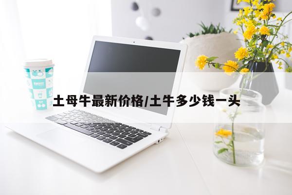 土母牛最新价格/土牛多少钱一头