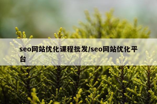 seo网站优化课程批发/seo网站优化平台