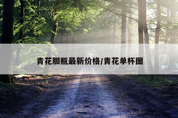 青花胆瓶最新价格/青花单杯图