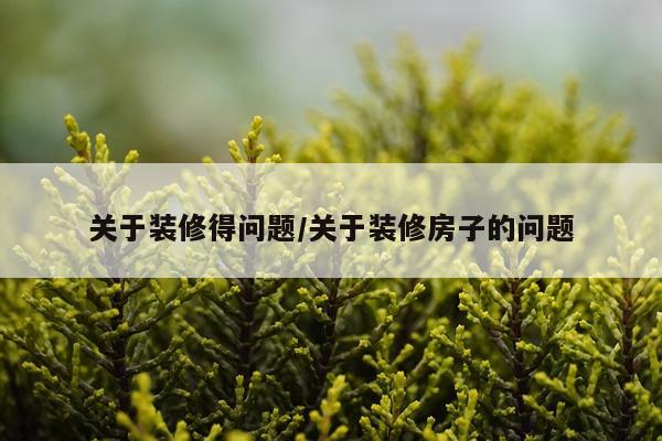 关于装修得问题/关于装修房子的问题