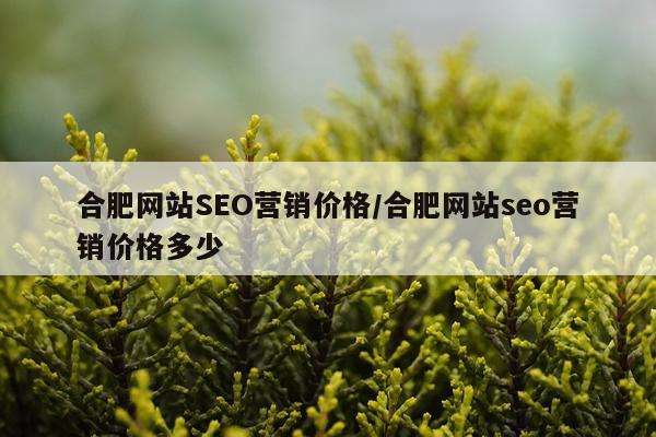 合肥网站SEO营销价格/合肥网站seo营销价格多少