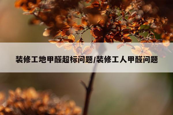 装修工地甲醛超标问题/装修工人甲醛问题