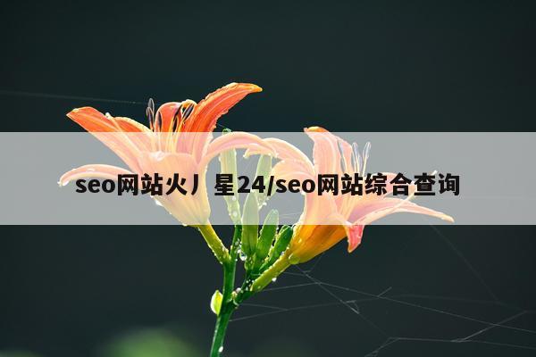 seo网站火丿星24/seo网站综合查询
