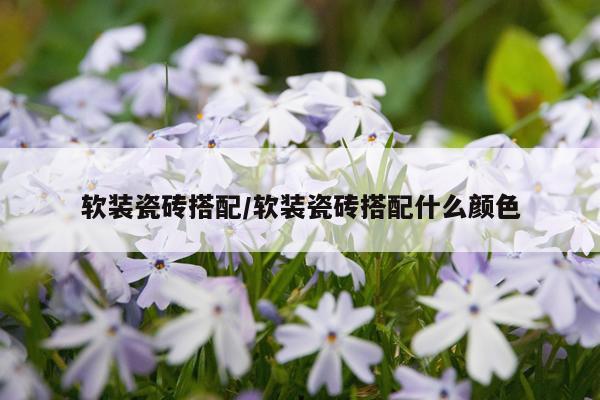 软装瓷砖搭配/软装瓷砖搭配什么颜色