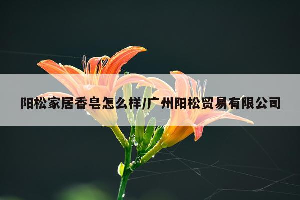 阳松家居香皂怎么样/广州阳松贸易有限公司