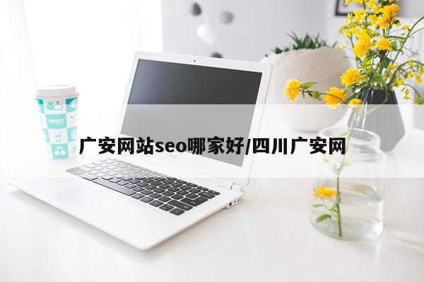广安网站seo哪家好/四川广安网