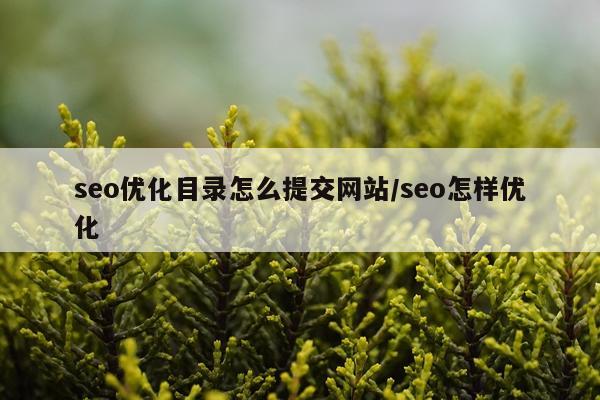 seo优化目录怎么提交网站/seo怎样优化