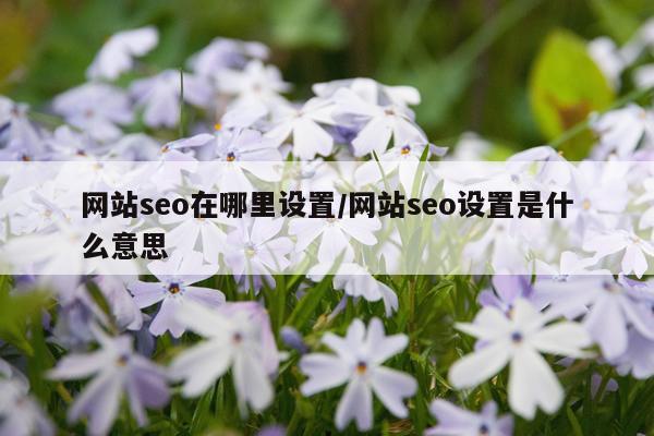 网站seo在哪里设置/网站seo设置是什么意思