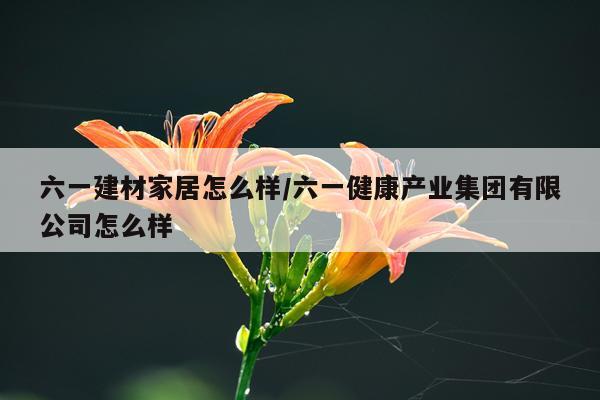 六一建材家居怎么样/六一健康产业集团有限公司怎么样