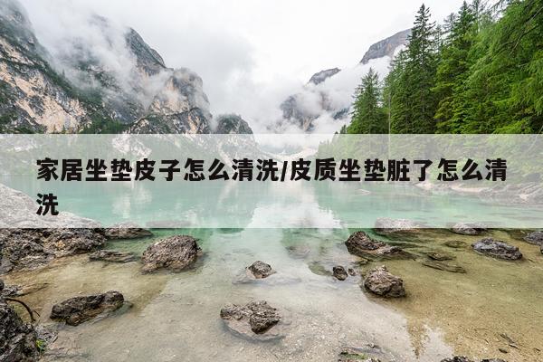 家居坐垫皮子怎么清洗/皮质坐垫脏了怎么清洗