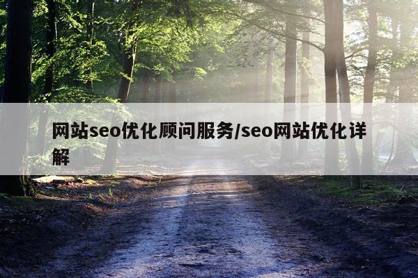 网站seo优化顾问服务/seo网站优化详解