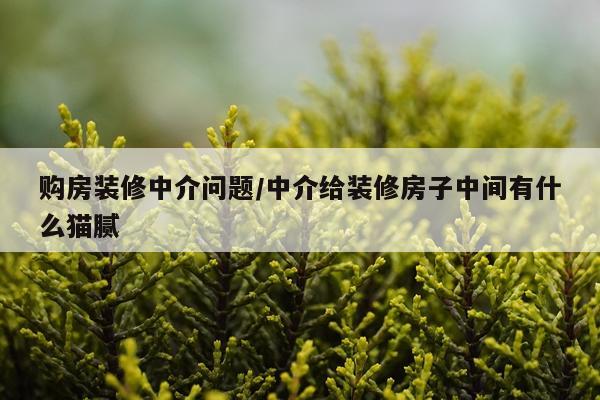 购房装修中介问题/中介给装修房子中间有什么猫腻