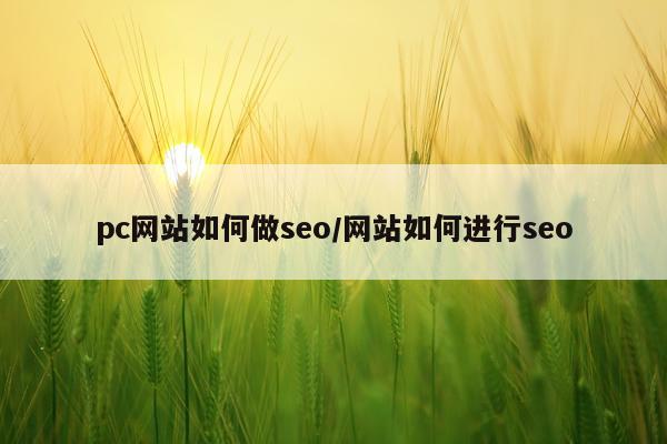 pc网站如何做seo/网站如何进行seo