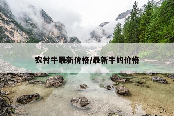 农村牛最新价格/最新牛的价格