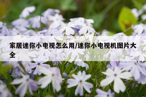 家居迷你小电视怎么用/迷你小电视机图片大全